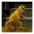 Qou79Dh0il6FZE6j_3.jpg.gif