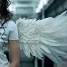 avatar_10291.gif