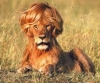 avatar_13355.jpg
