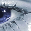 avatar_4274.jpg
