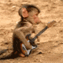 avatar_5980.gif